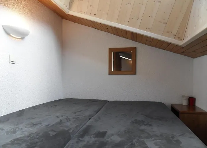 Spacieux Au Coeur De Belle Plagne, Animaux Admis - Fr-1-181-1531