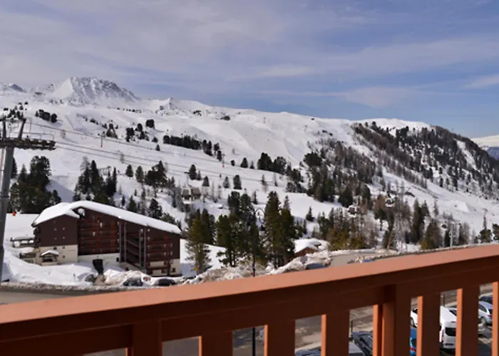 Spacieux Au Coeur De Belle Plagne, Animaux Admis - Fr-1-181-1531 *